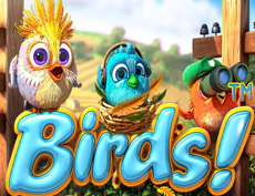 Birds