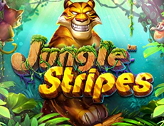 Jungle Stripes