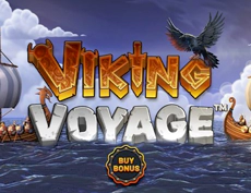 Viking Voyage