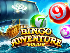 Bingo Adventure