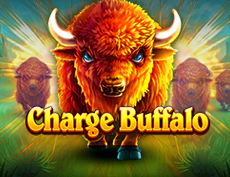 Charge Buffalo