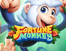 Fortune Monkey
