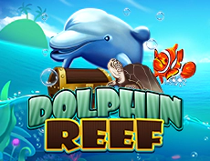Dolphin Reef