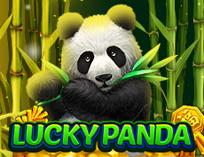 Lucky Panda