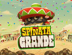 Spinata Grande