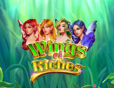 Wings of Riches