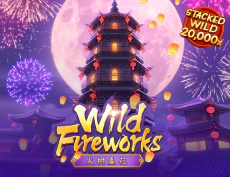 Wild Fireworks