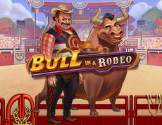 Bull in a Rodeo