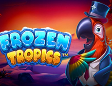 Frozen Tropics