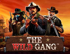 The Wild Gang