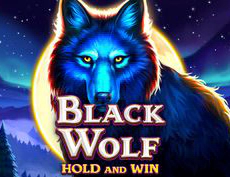 Black Wolf: Hold and Win