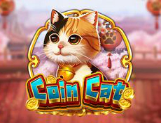 Coin Cat