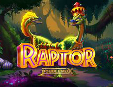 Raptor Doublemax