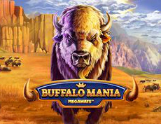 Buffalo Mania Megaways